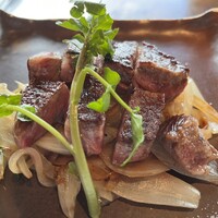 横浜瀬里奈 ステーキドーム -  横浜瀬里奈 ステーキドーム -