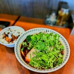 supaisura-memmanriki - スパイスパクチーラー麺