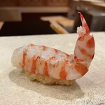 鮨 冨味 - 車海老