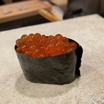 鮨 冨味 - いくら