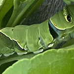 焼きもの家 慶 - 