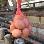 Yunomune Chaya - After Boiling