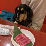 焼肉 シンセン - 