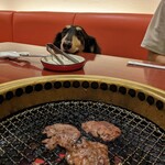 Yakiniku Shinsen - 