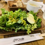 BiOcafe - 