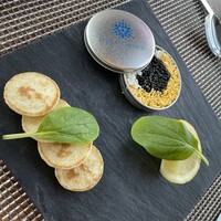 オールデイダイニング オアシスガーデン - 