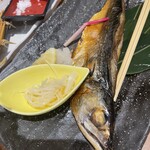 上野イカセンター - 