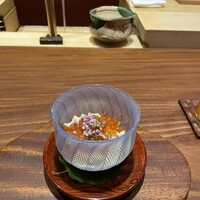 弧柳 - 