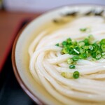 讃岐うどん いわい - 