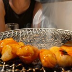 ホルモン しんちゃん - 