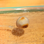 鮨 尚充 - からすみ餅