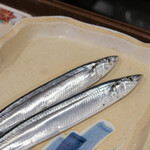 うを徳 - 《蝦夷根室（ねむろ）》"狹眞魚（さまうを）"