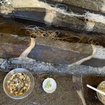 あみだが滝荘 流しそうめん - 