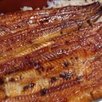 Unagi Saitou - 