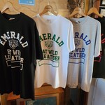 PUB LOUNGE EMERALD - 