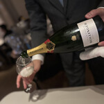 SEZANNE - シャンパン