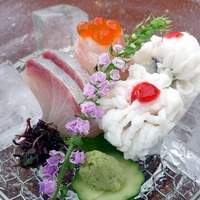 大當両 - お刺身