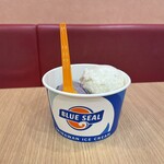 ブルーシール - 