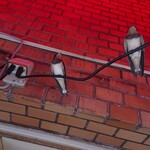 居酒屋はまちゃん - 