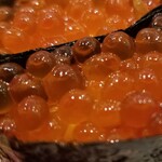 回転寿し トリトン - いくら・アップ。