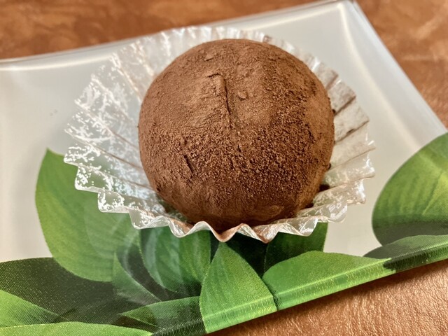 Minoo Satsukian photo 5