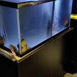 鉄板焼 ステーキ 北野坂 - 