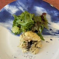 GLICINE di ACQUA PAZZA - 
