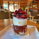 ロッキーガーデン - ベリーベリーパフェ
      　単品¥700/ドリンク付き¥950