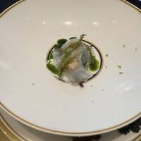 クイントカント - 