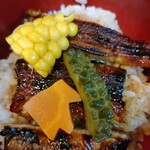 Unagi No Kawatsune - 