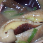 藍鱗 - 今年の落葉♡　肉厚～☆