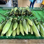 野菜の駅 ふれあいファーム しのつ - 