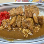 カレー専門店 富士乃屋 - 