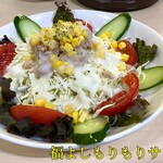 焼とり 福よし - 福よしもりもりサラダ