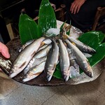 郷土料理ともん - 岐阜県帰りの釣人の鮎です