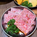 Yakiniku Sutairu Nikuhoudai - 