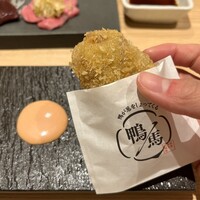 鴨ときどき馬 神保町本店 - 
