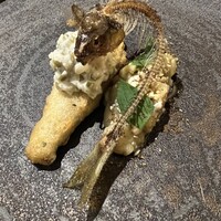 cenci - 