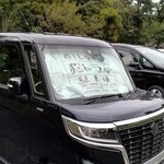 煮干しらぁめん 猫トラ亭 - 