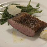 ドンナセルバティカ - 