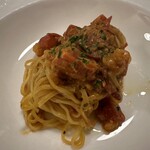 ドンナセルバティカ - 