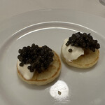 ドンナセルバティカ - 