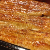 うなぎ 目白ぞろ芽 - 