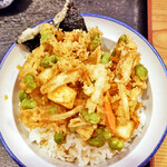 手打ちそば天ぷら 那央人 - ランチＦ（季節限定）あかいかと野菜のかき揚げ天丼