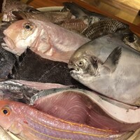 魚匠 銀平 心斎橋店 - 