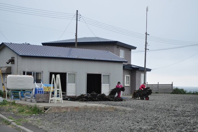 岬の駅 - 根室市その他（海鮮）の写真