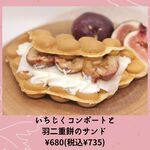 coccoya - 