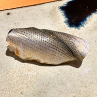 鮨 さいとう - 