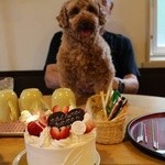 スイーツガーデン ユウジアジキ - 箱根のホテルで頂きました