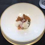 クイントカント - 